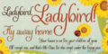 Ladybird 720X360 1