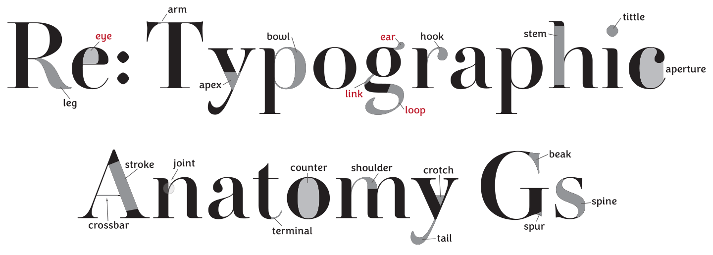 Type Anatomy - Laura Worthington Design